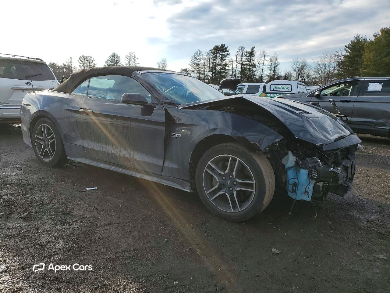 Ford Mustang 2019