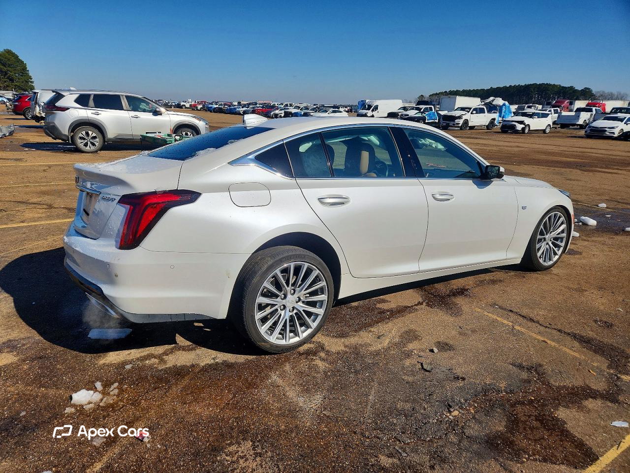 Cadillac CT5 2024