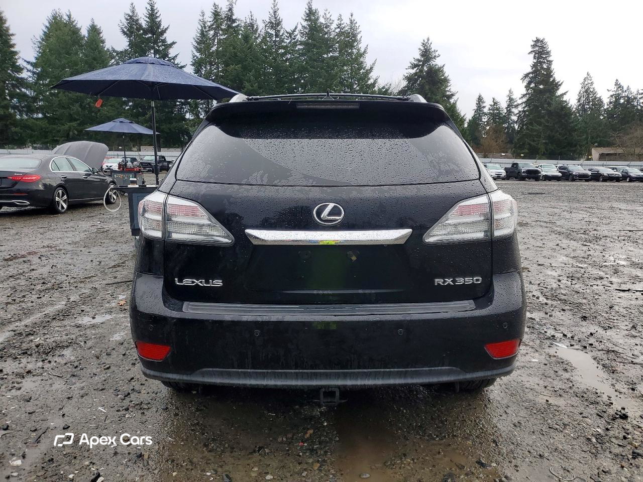 Lexus RX 2010