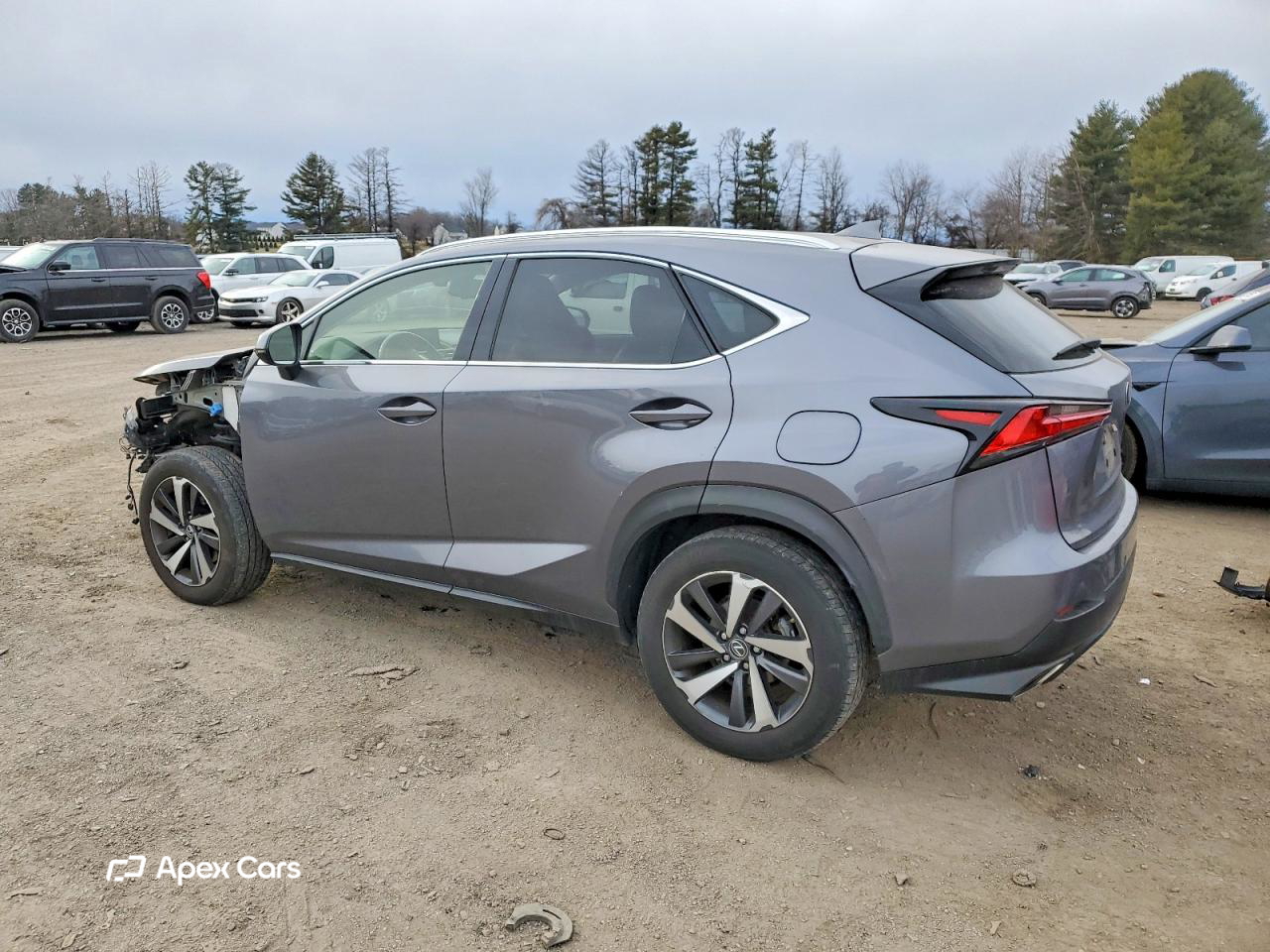 Lexus NX 2018