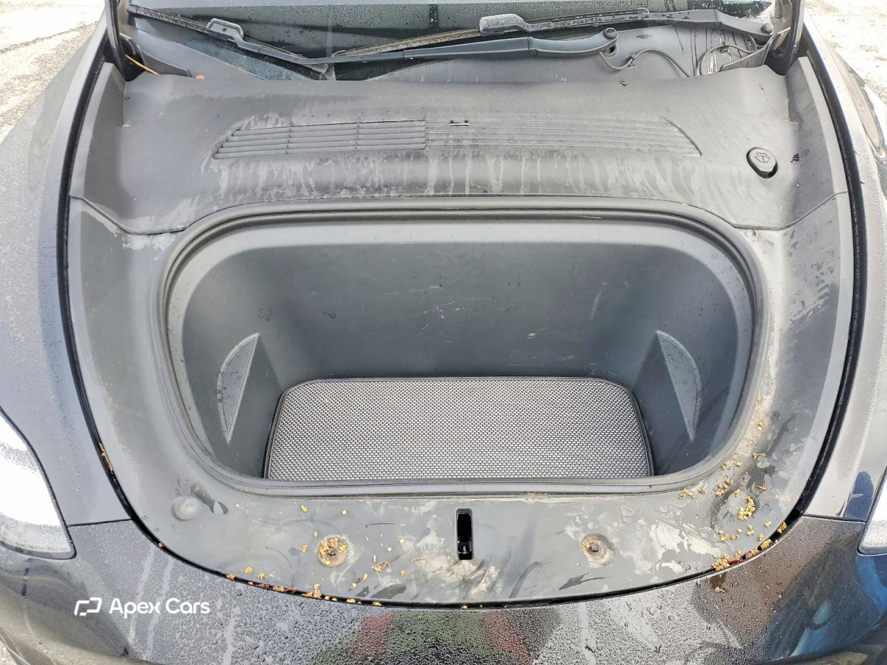 Tesla Model Y 2020
