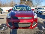 Ford Escape 2014