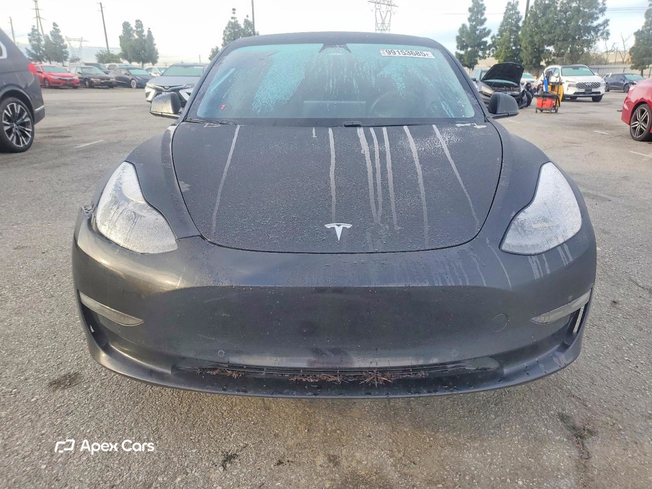 Tesla Model 3 2021