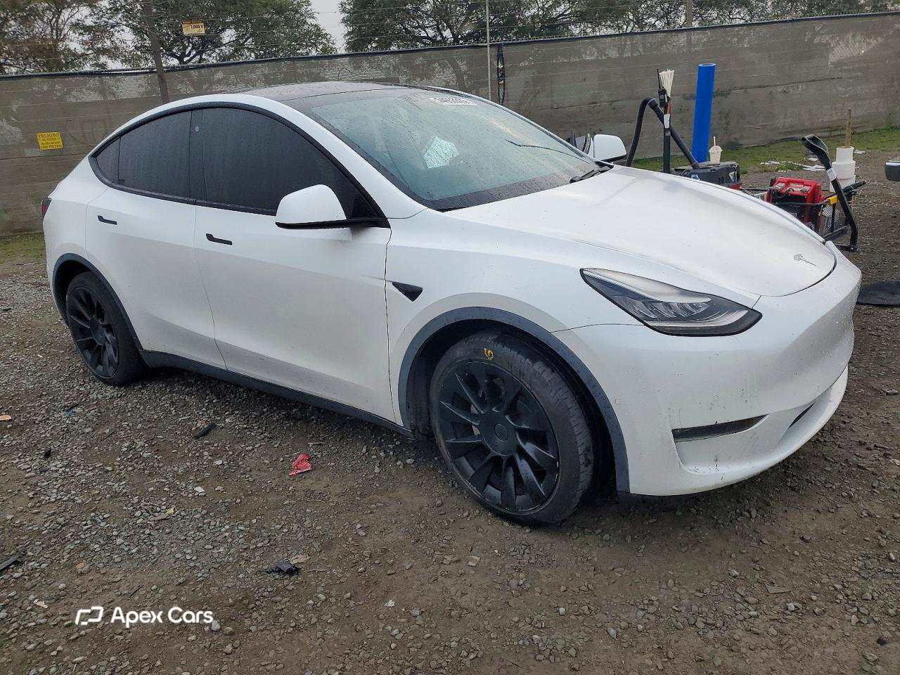 Tesla Model Y 2020