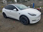 Tesla Model Y 2020