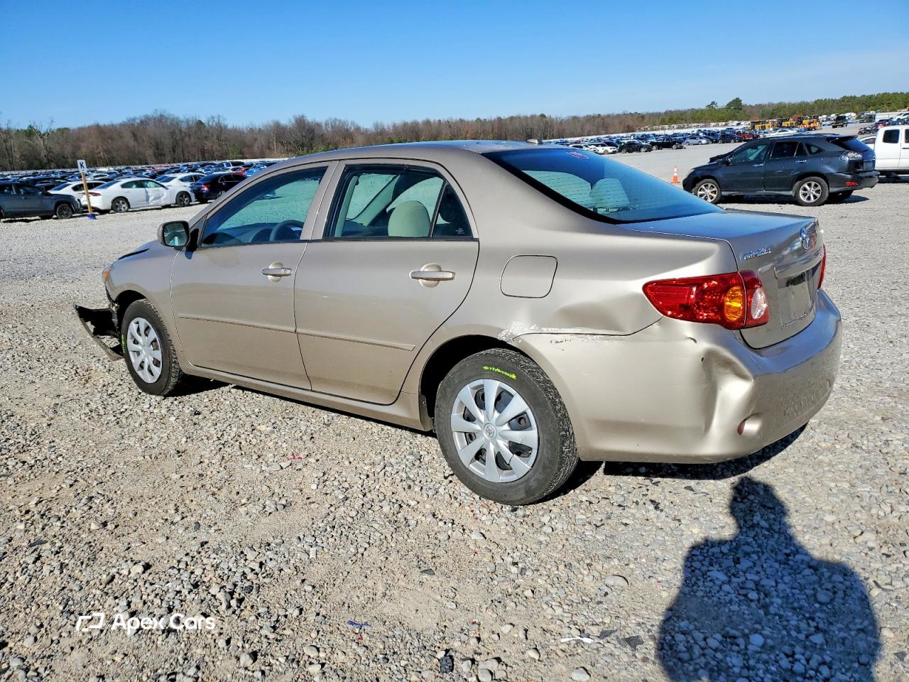 Toyota Corolla 2010