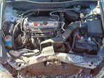 Honda Accord 2011