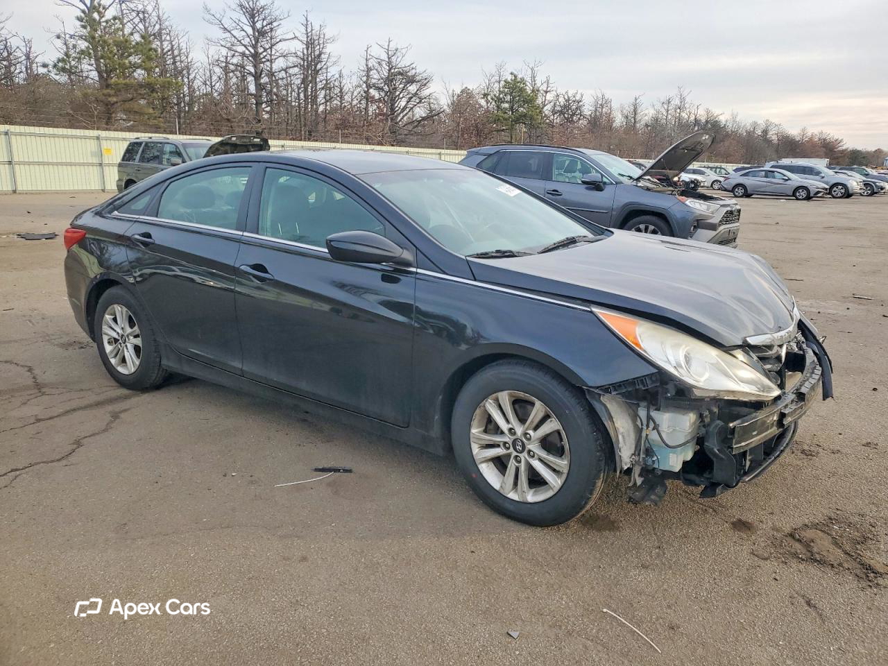 Hyundai Sonata 2013