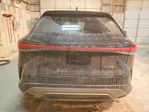 Lexus RX 2024