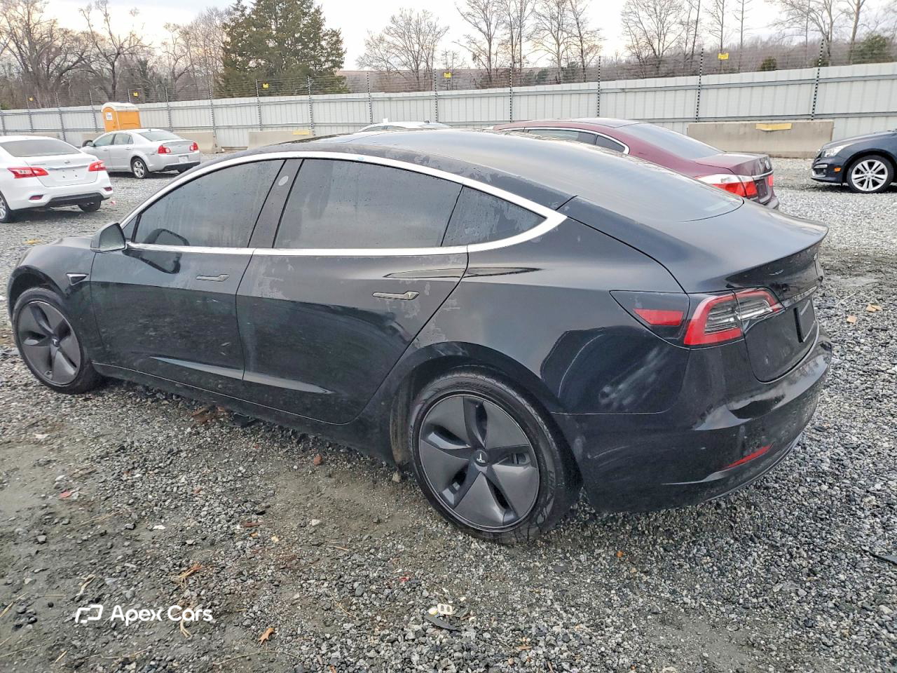 Tesla Model 3 2019