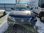 Lexus RX 2013