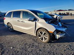 Honda Odyssey 2024