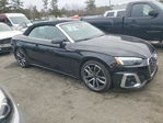 Audi A5 2024