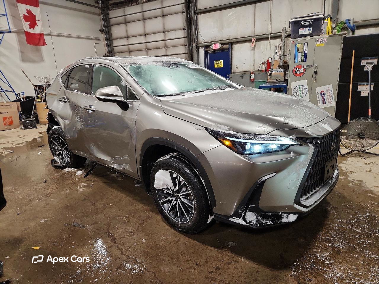 Lexus NX 2022