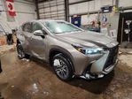 Lexus NX 2022
