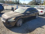 Nissan Maxima 2010