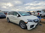 Honda Odyssey 2019