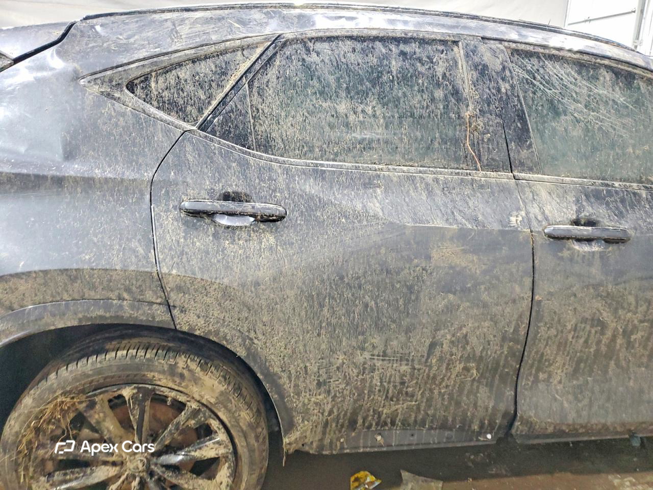 Lexus NX 2025