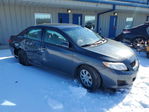 Toyota Corolla 2009