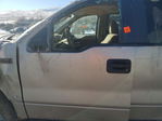 Ford F-150 2007