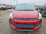 Ford Escape 2015