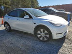 Tesla Model Y 2020