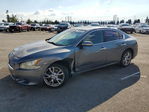 Nissan Maxima 2014