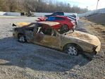 Ford Thunderbird 1995