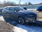 Lexus UX 2025