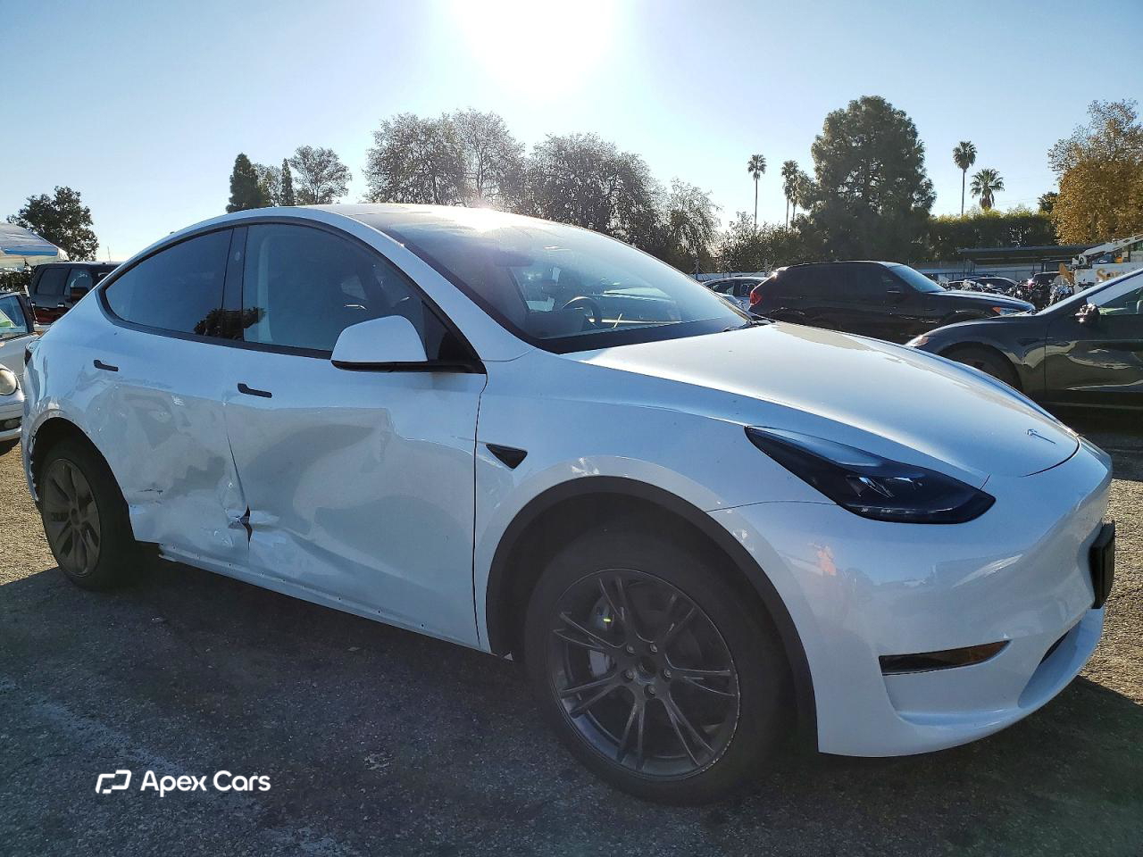Tesla Model Y 2025
