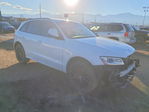 Audi SQ5 2016