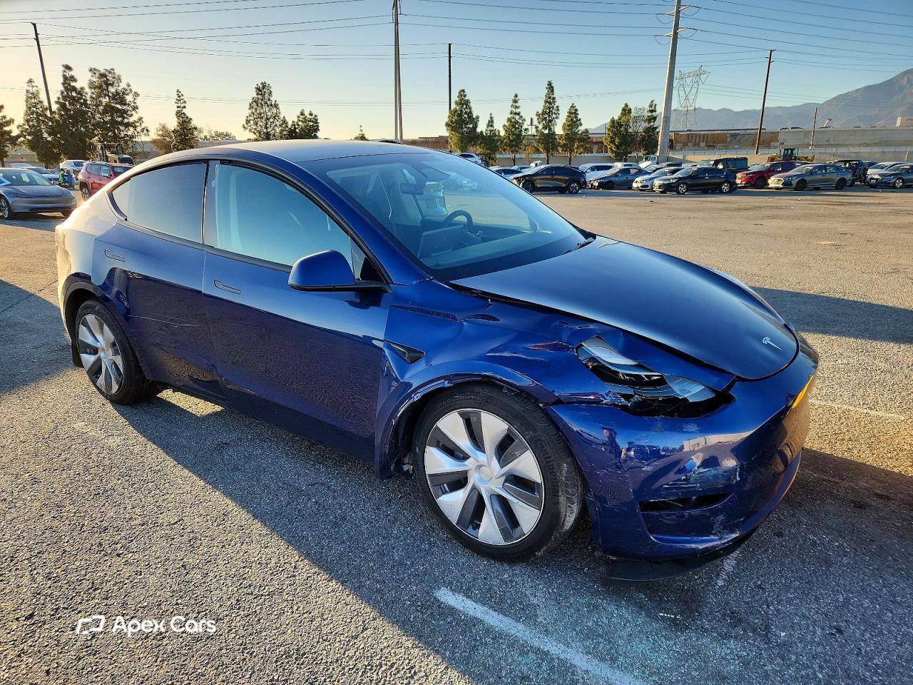 Tesla Model Y 2024