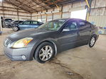 Nissan Maxima 2004