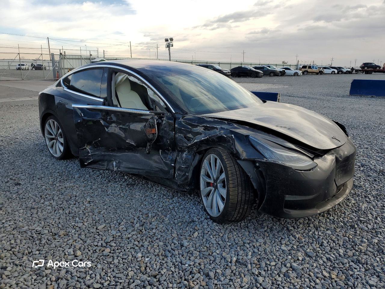 Tesla Model 3 2019