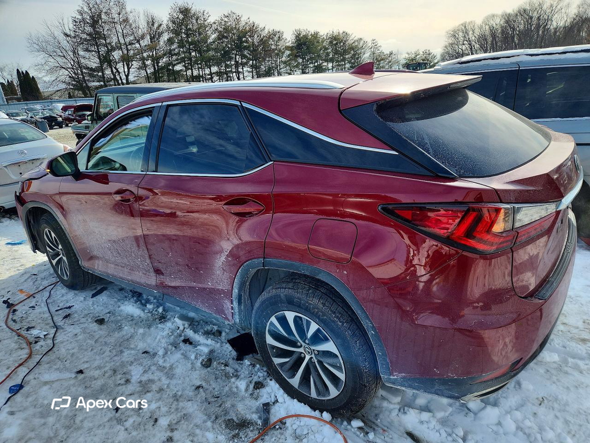 Lexus RX 2020
