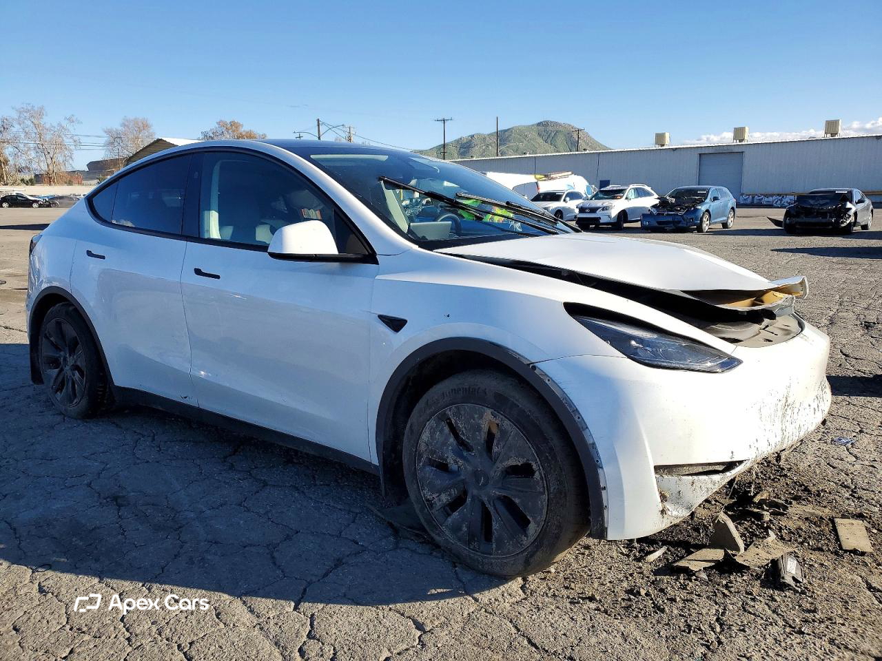 Tesla Model Y 2024