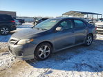 Toyota Corolla 2011