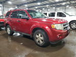 Ford Escape 2009