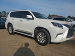 Lexus GX 2022
