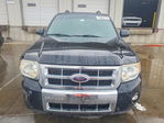 Ford Escape 2009
