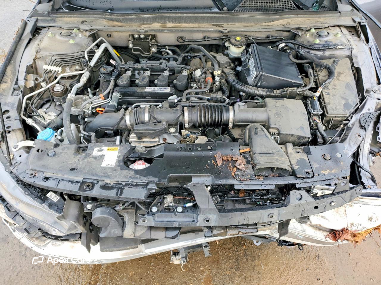 Honda Accord 2019