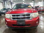 Ford Escape 2009