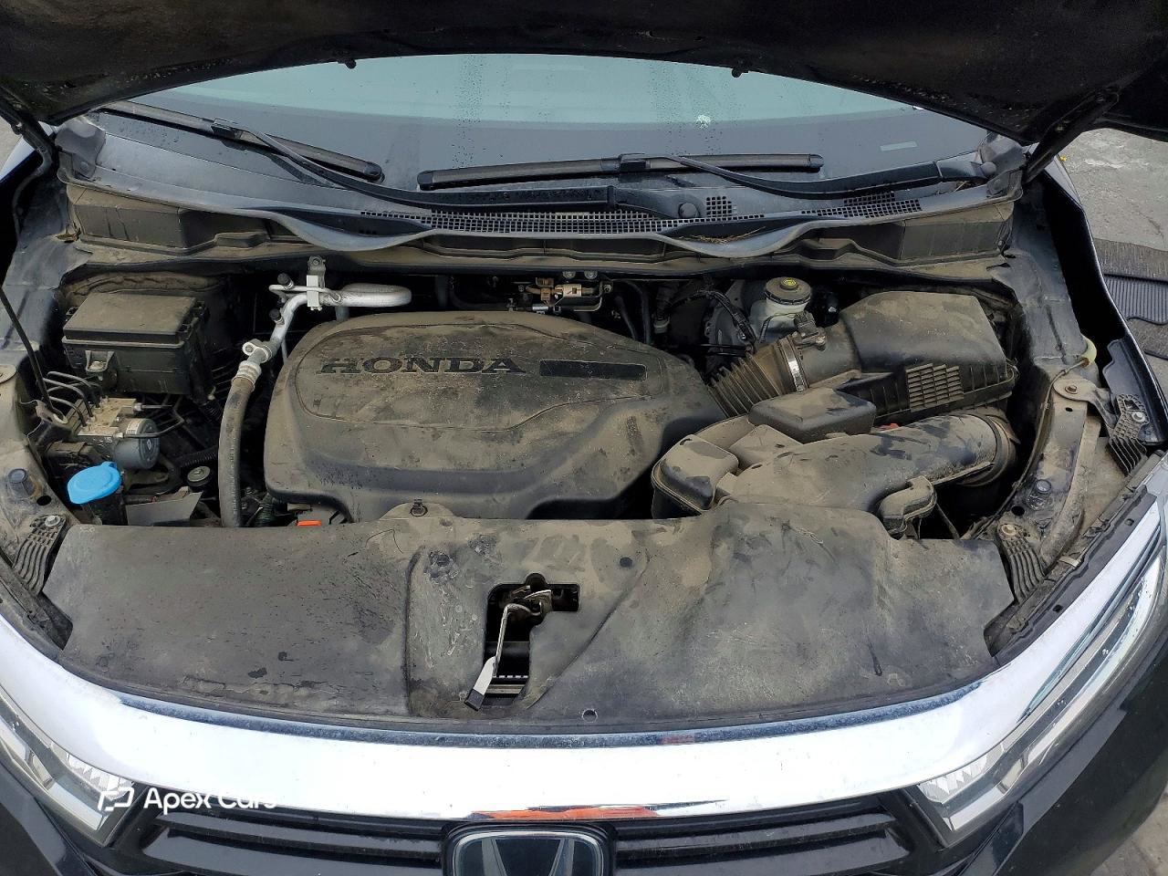 Honda Odyssey 2021
