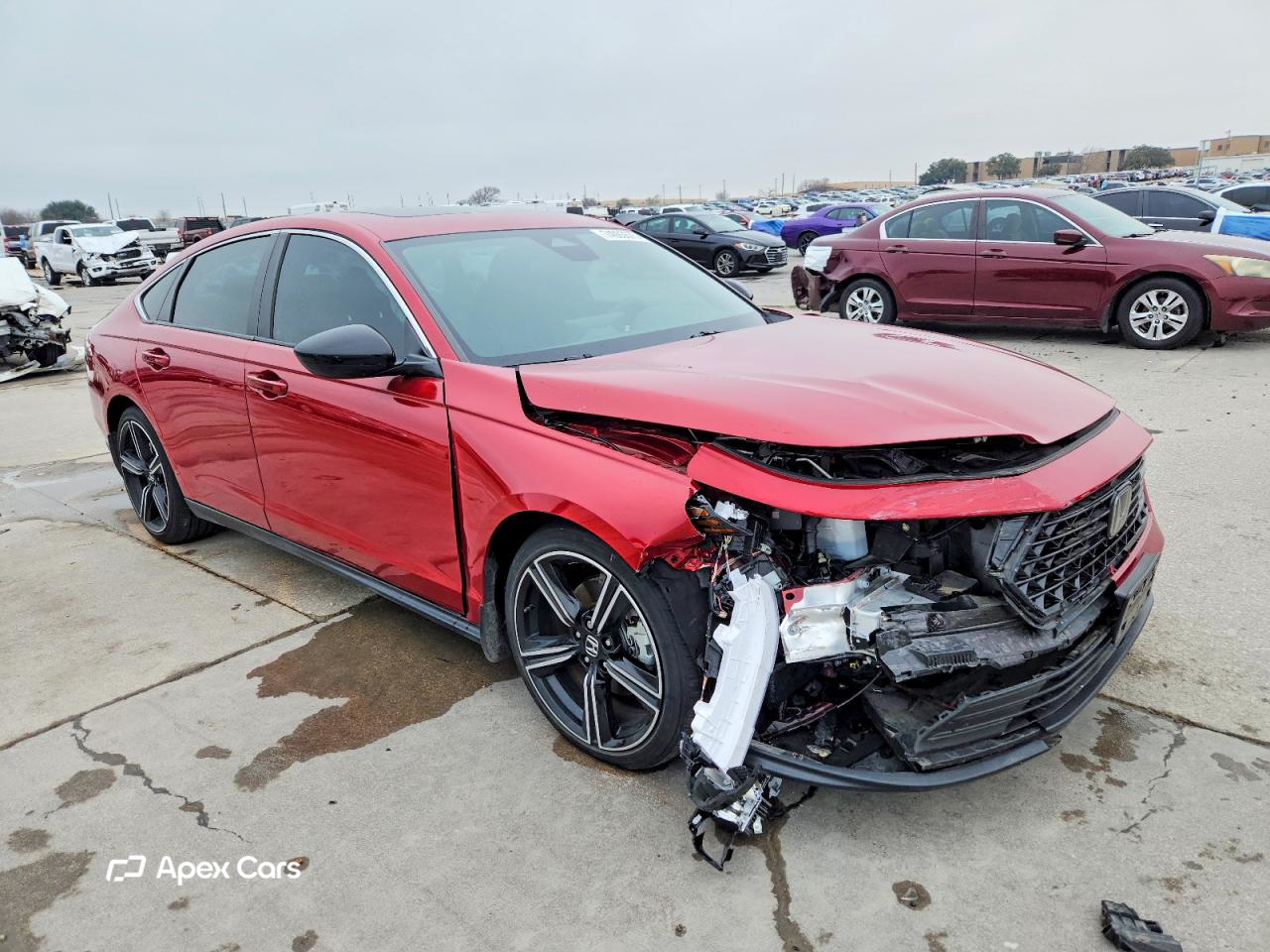 Honda Accord 2024