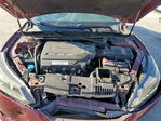 Honda Accord 2013