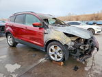 Ford Escape 2014