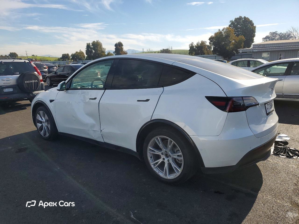 Tesla Model Y 2021