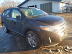 Ford Edge 2013