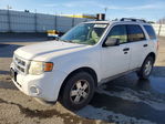 Ford Escape 2011
