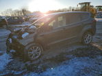Ford Escape 2019